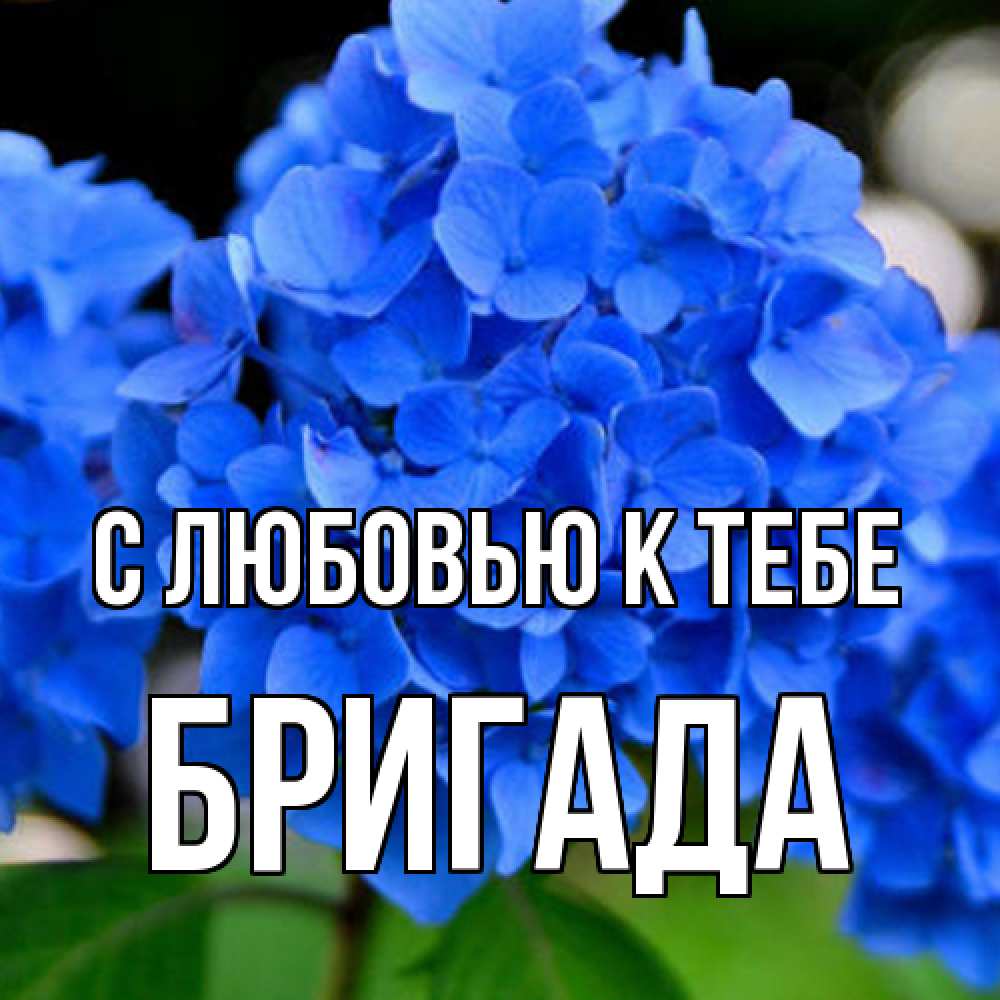Открытка  с именем. Бригада, С любовью к тебе  