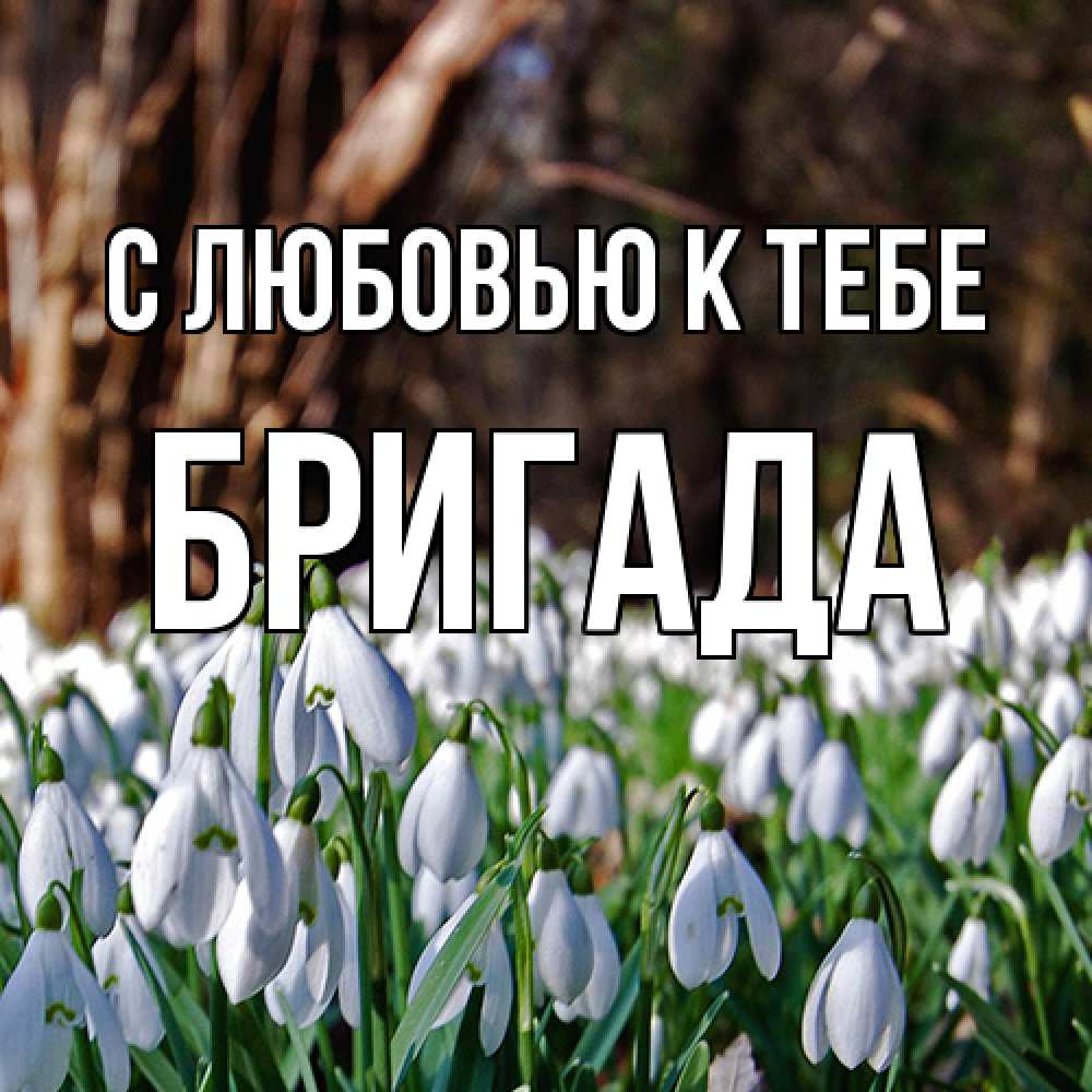 Открытка  с именем. Бригада, С любовью к тебе  