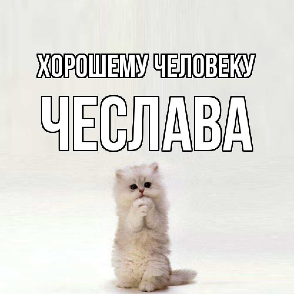Открытка  с именем. Чеслава, Хорошему человеку  