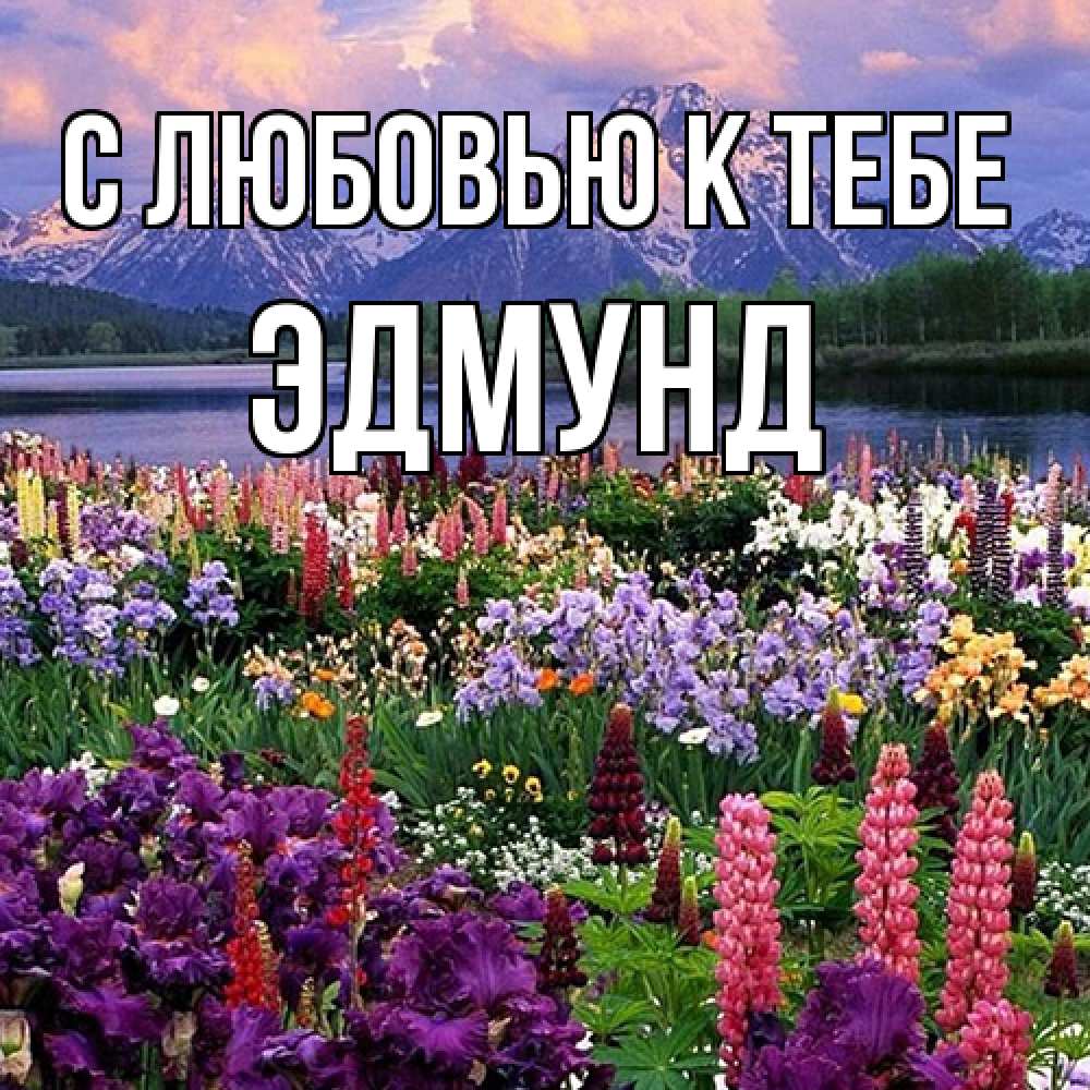 Открытка  с именем. Эдмунд, С любовью к тебе  