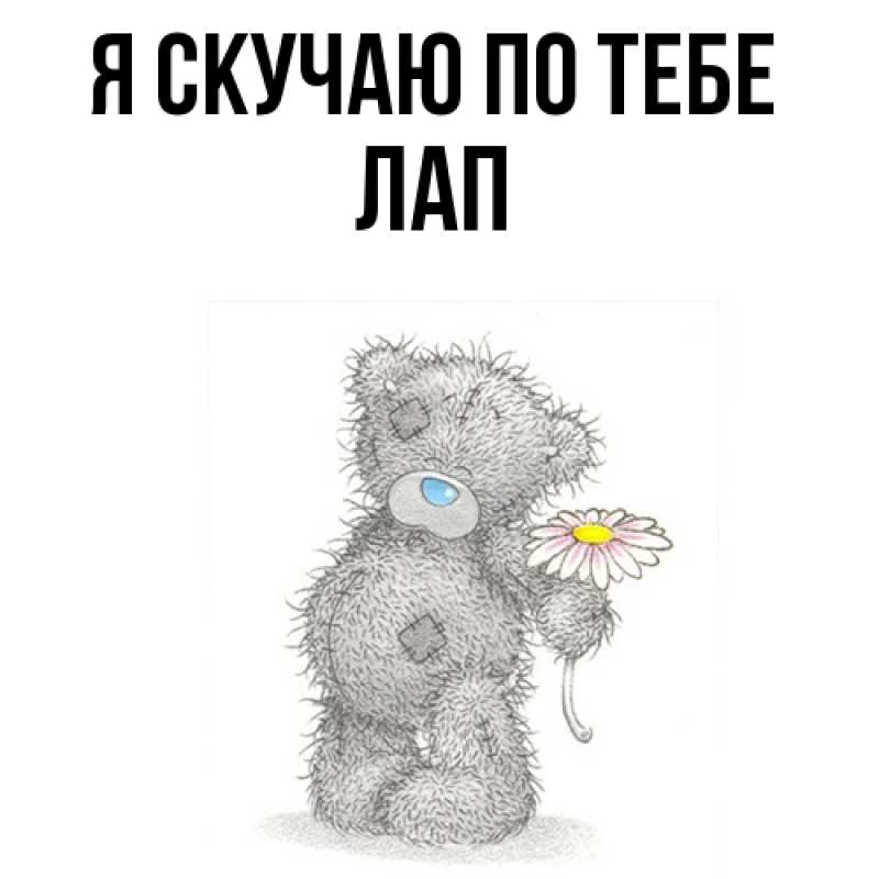 Картинка Я скучаю по тебе, Лап