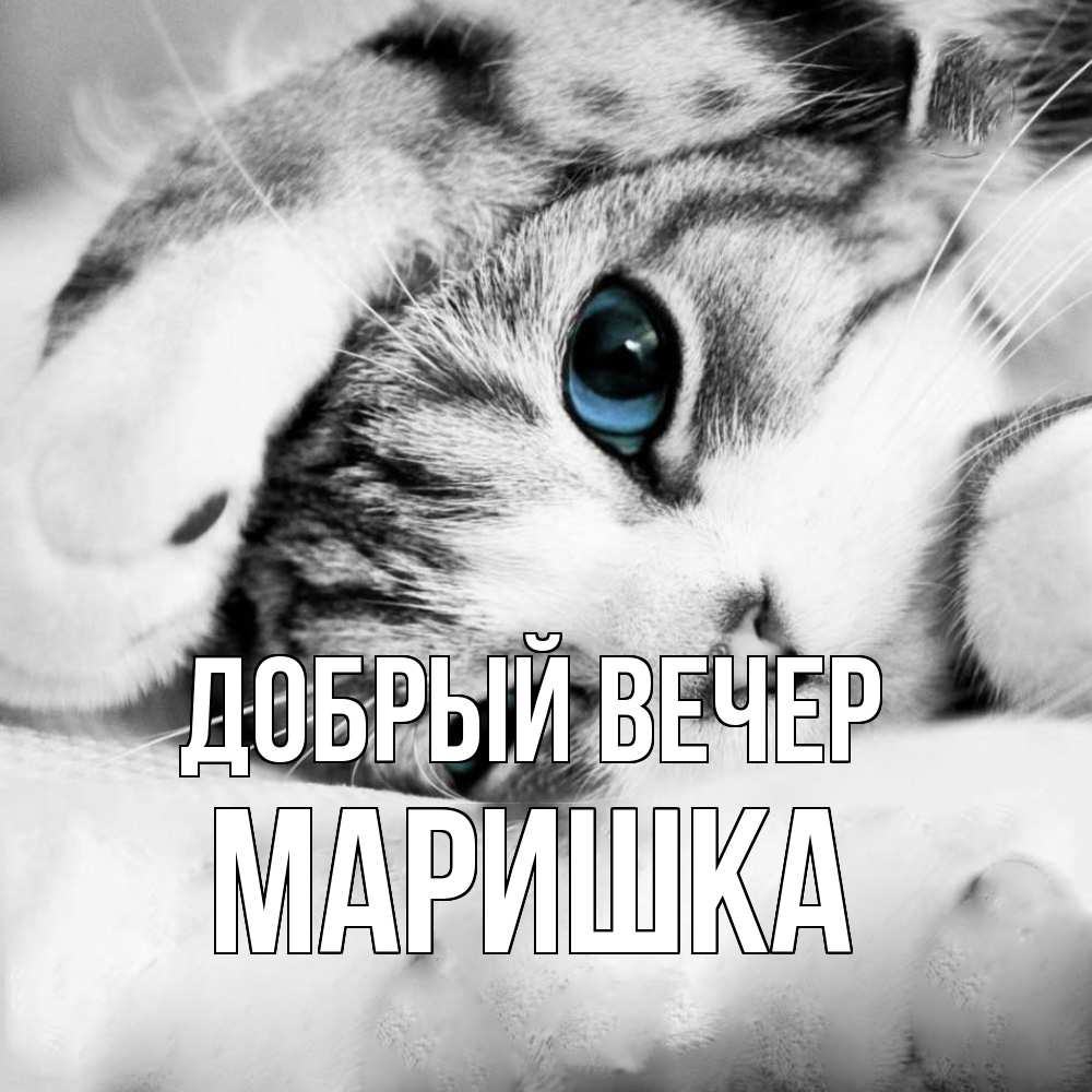 Открытка  с именем. Маришка, Добрый вечер  