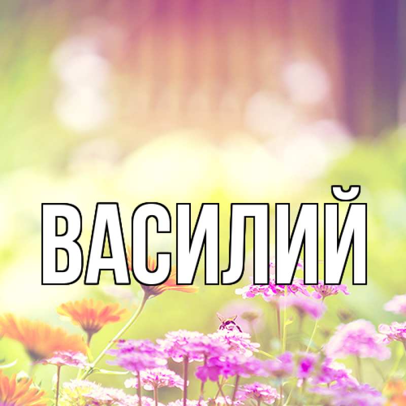 Картинка  с именем , Василий