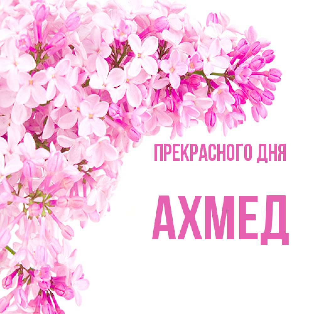 Открытка  с именем. Ахмед, Прекрасного дня  