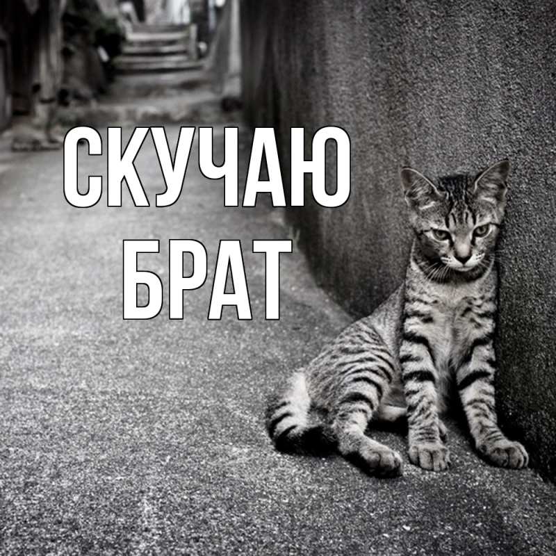 Картинка Скучаю, Брат