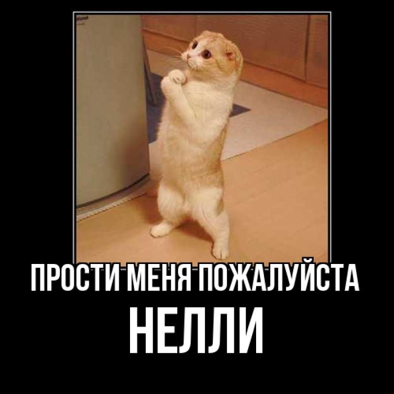 Картинка Прости меня пожалуйста, Нелли