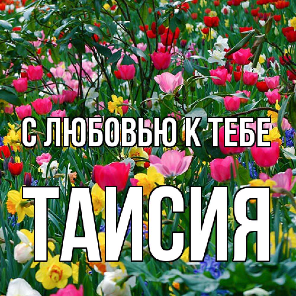 Открытка  с именем. Таисия, С любовью к тебе  