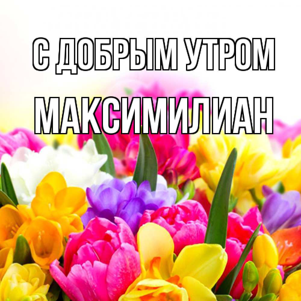 Открытка  с именем. Максимилиан, С добрым утром  