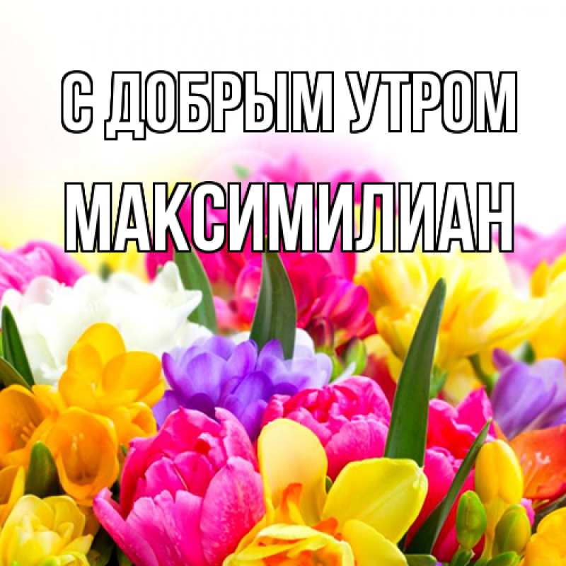 Картинка С добрым утром, Максимилиан