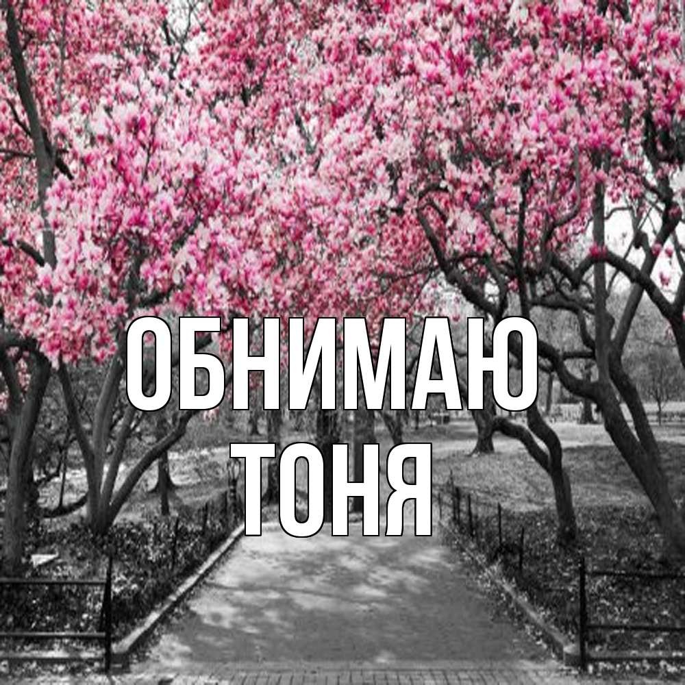 Открытка  с именем. Тоня, Обнимаю  