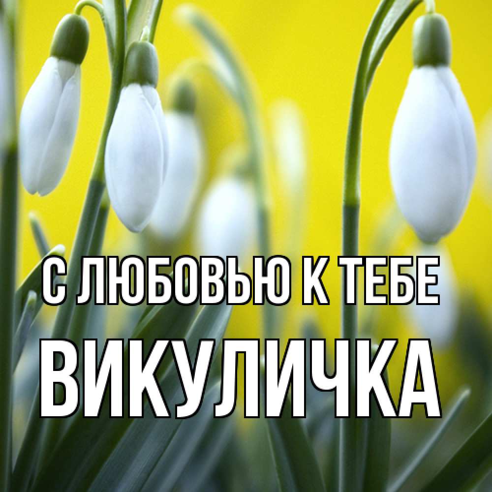 Открытка  с именем. Викуличка, С любовью к тебе  