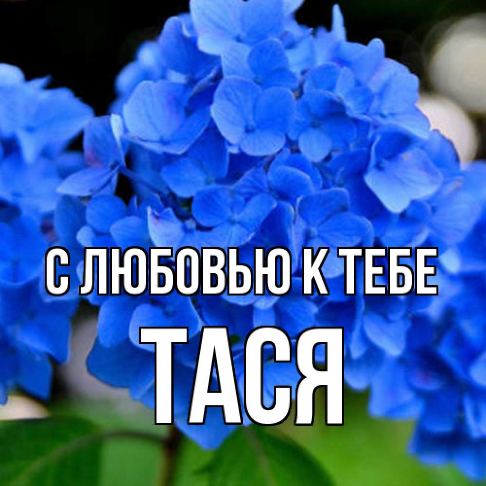 Открытка  с именем. Тася, С любовью к тебе  