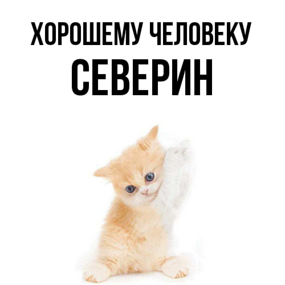 Открытка  с именем. Северин, Хорошему человеку  