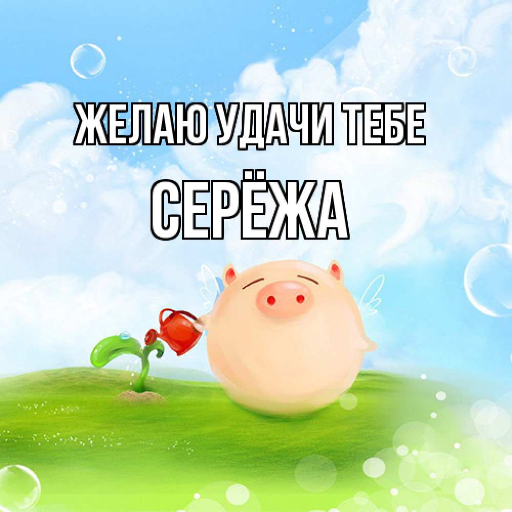Открытка  с именем. Серёжа, Желаю удачи тебе  