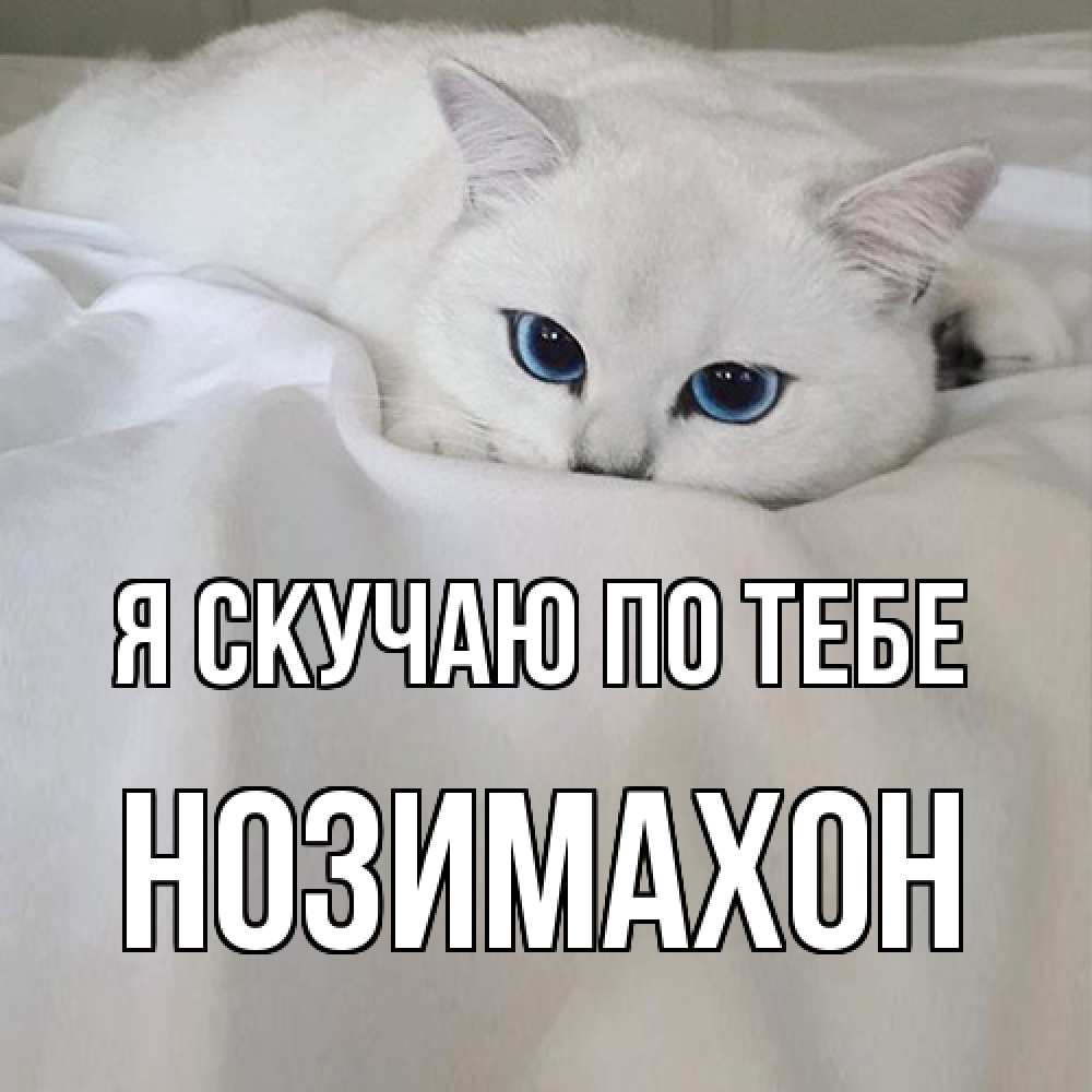 Открытка  с именем. Нозимахон, Я скучаю по тебе  
