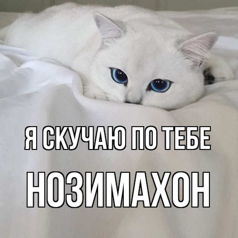 Картинка Я скучаю по тебе, Нозимахон