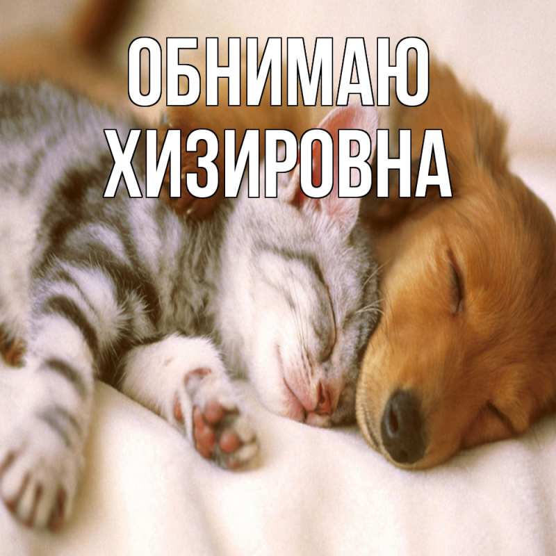 Картинка Обнимаю, Хизировна