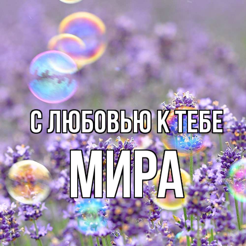 Открытка  с именем. Мира, С любовью к тебе  