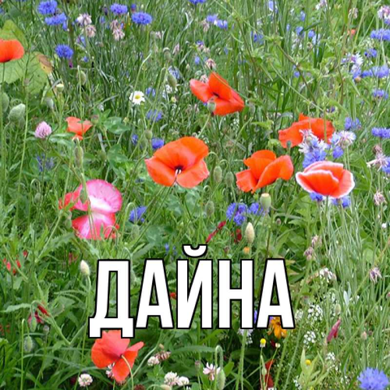 Картинка  с именем , Дайна