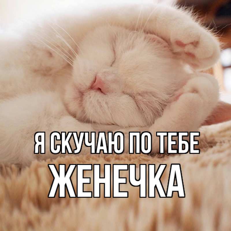 Картинка Я скучаю по тебе, Женечка
