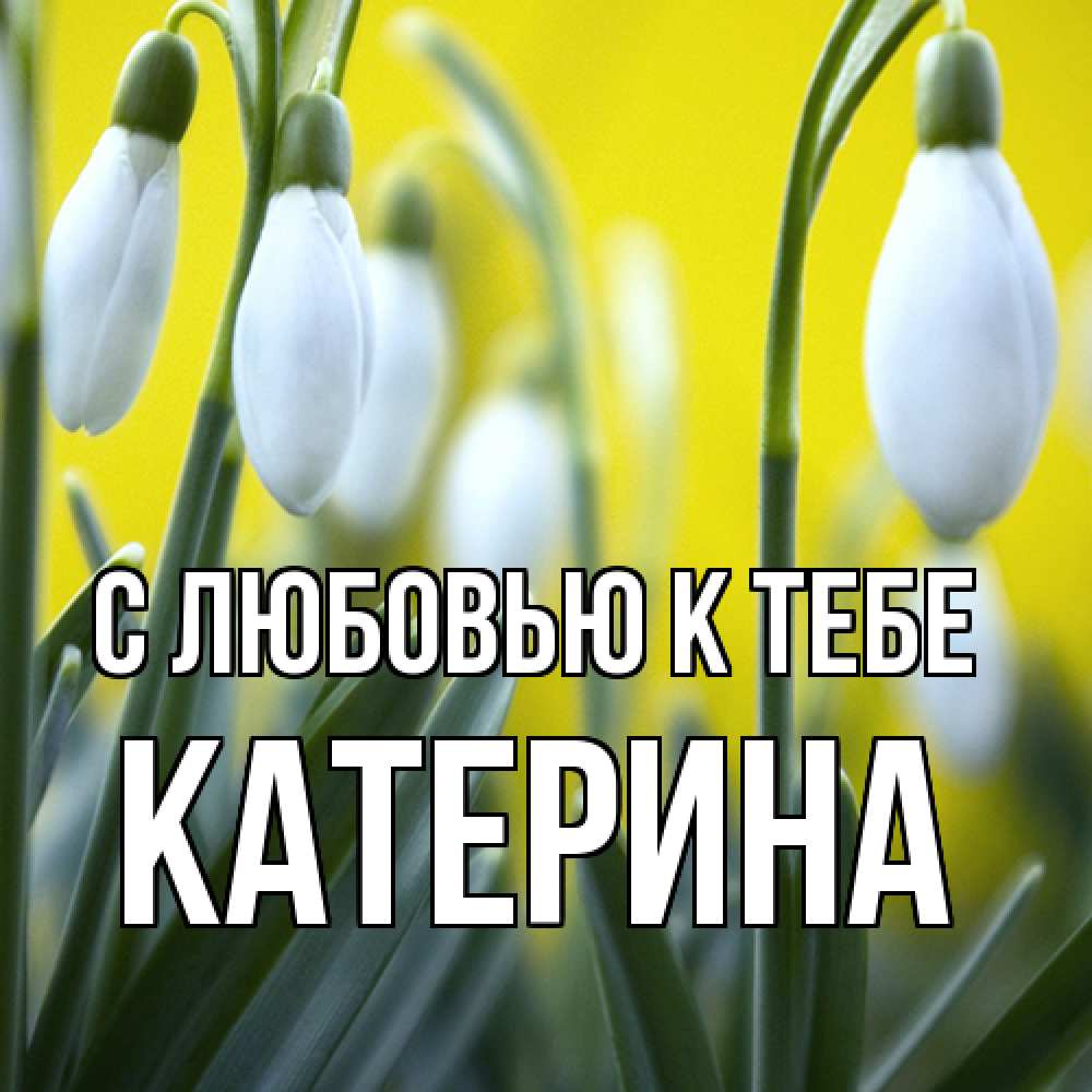 Открытка  с именем. Катерина, С любовью к тебе  
