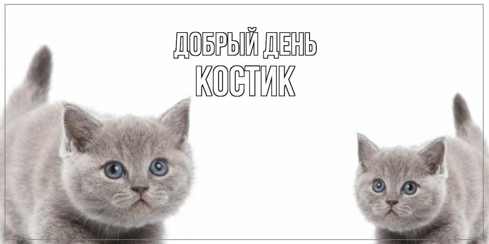 Открытка  с именем. костик, Добрый день  