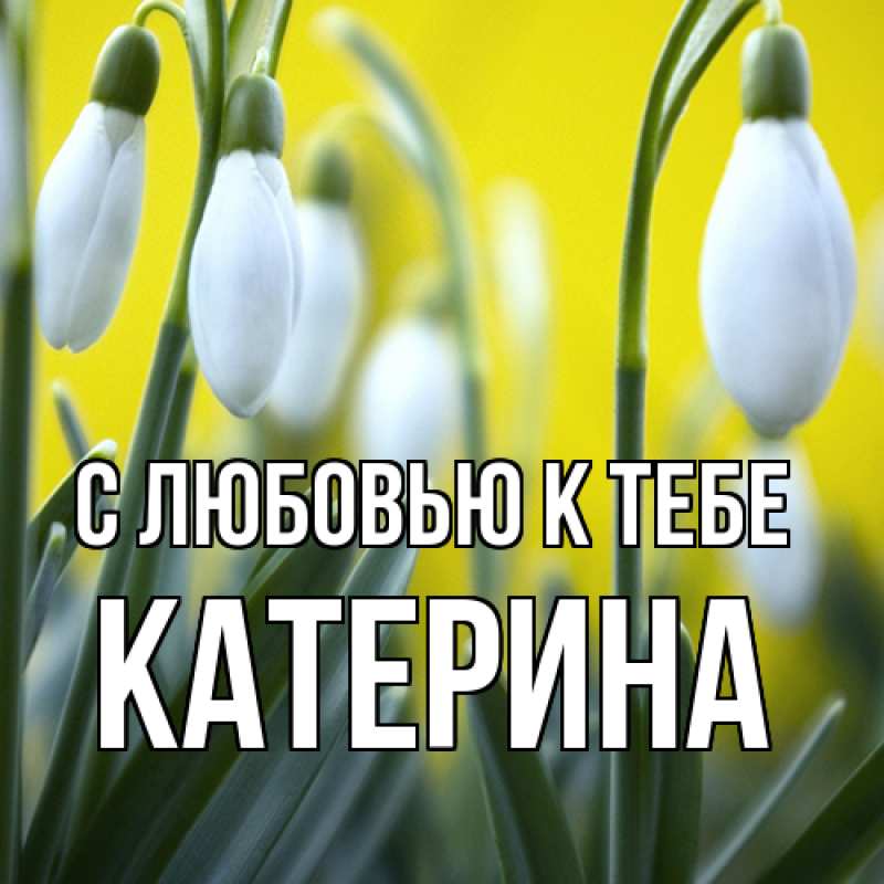 Картинка С любовью к тебе, Катерина