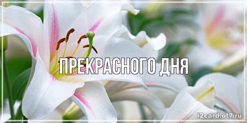 Картинка Прекрасного дня, 