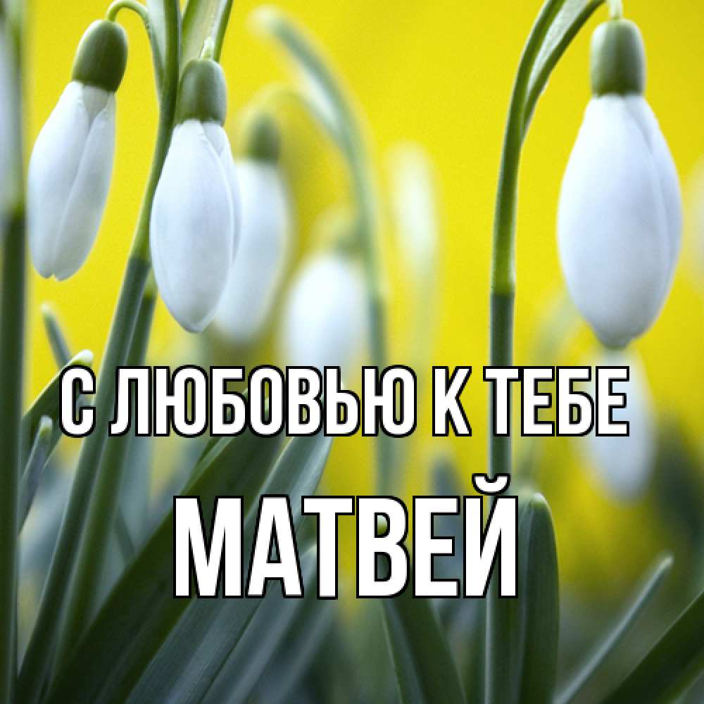 Открытка  с именем. Матвей, С любовью к тебе  