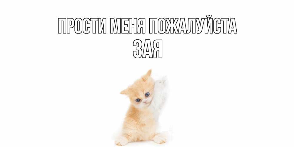 Открытка  с именем. Зая, Прости меня пожалуйста  