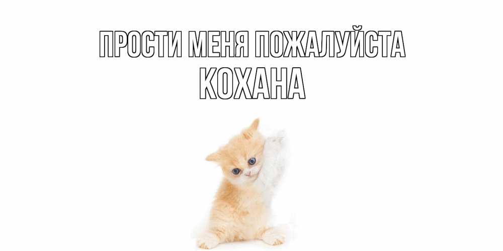 Открытка  с именем. Кохана, Прости меня пожалуйста  