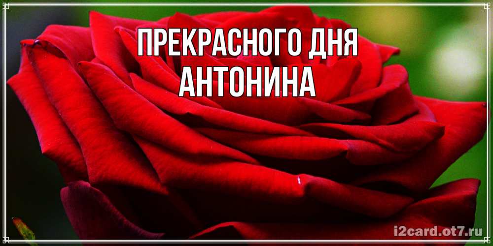 Открытка  с именем. Антонина, Прекрасного дня  