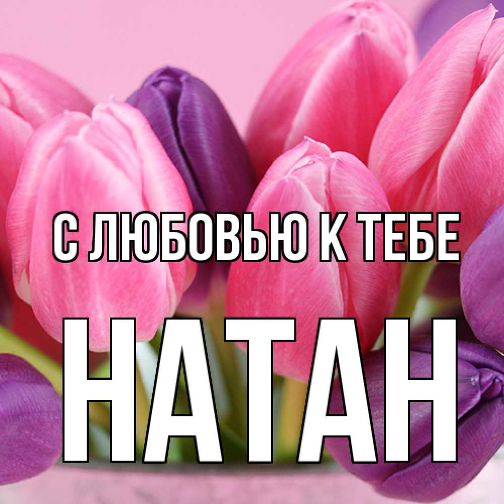 Открытка  с именем. Натан, С любовью к тебе  