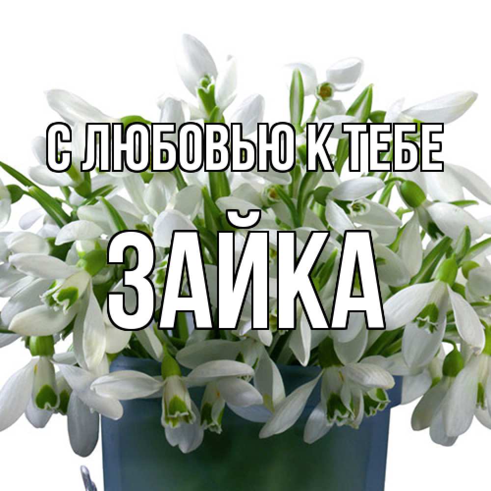 Открытка  с именем. Зайка, С любовью к тебе  