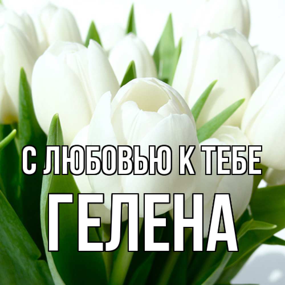 Открытка  с именем. Гелена, С любовью к тебе  