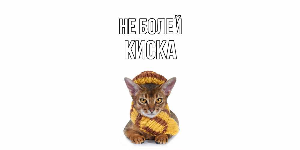 Открытка  с именем. Киска, Не болей  
