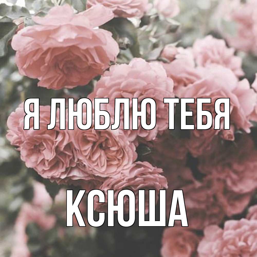 Открытка  с именем. Ксюша, Я люблю тебя  