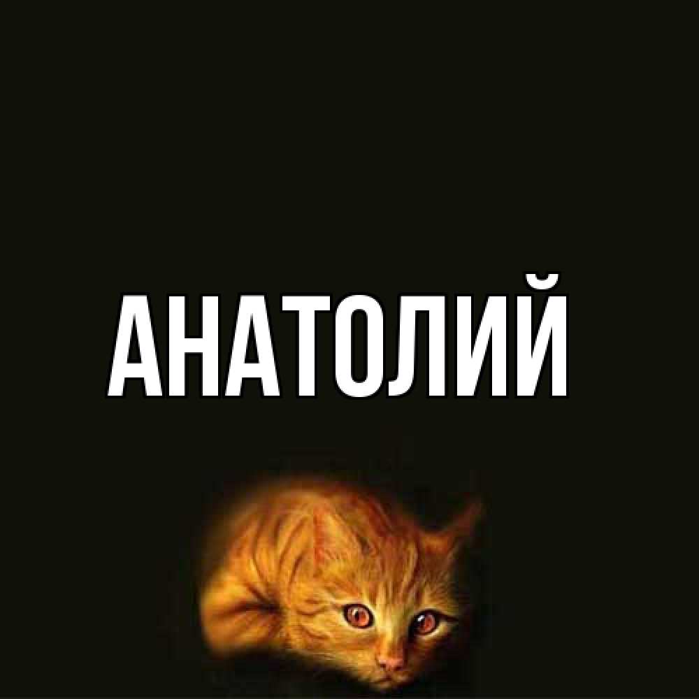 Открытка  с именем. Анатолий, Главная  