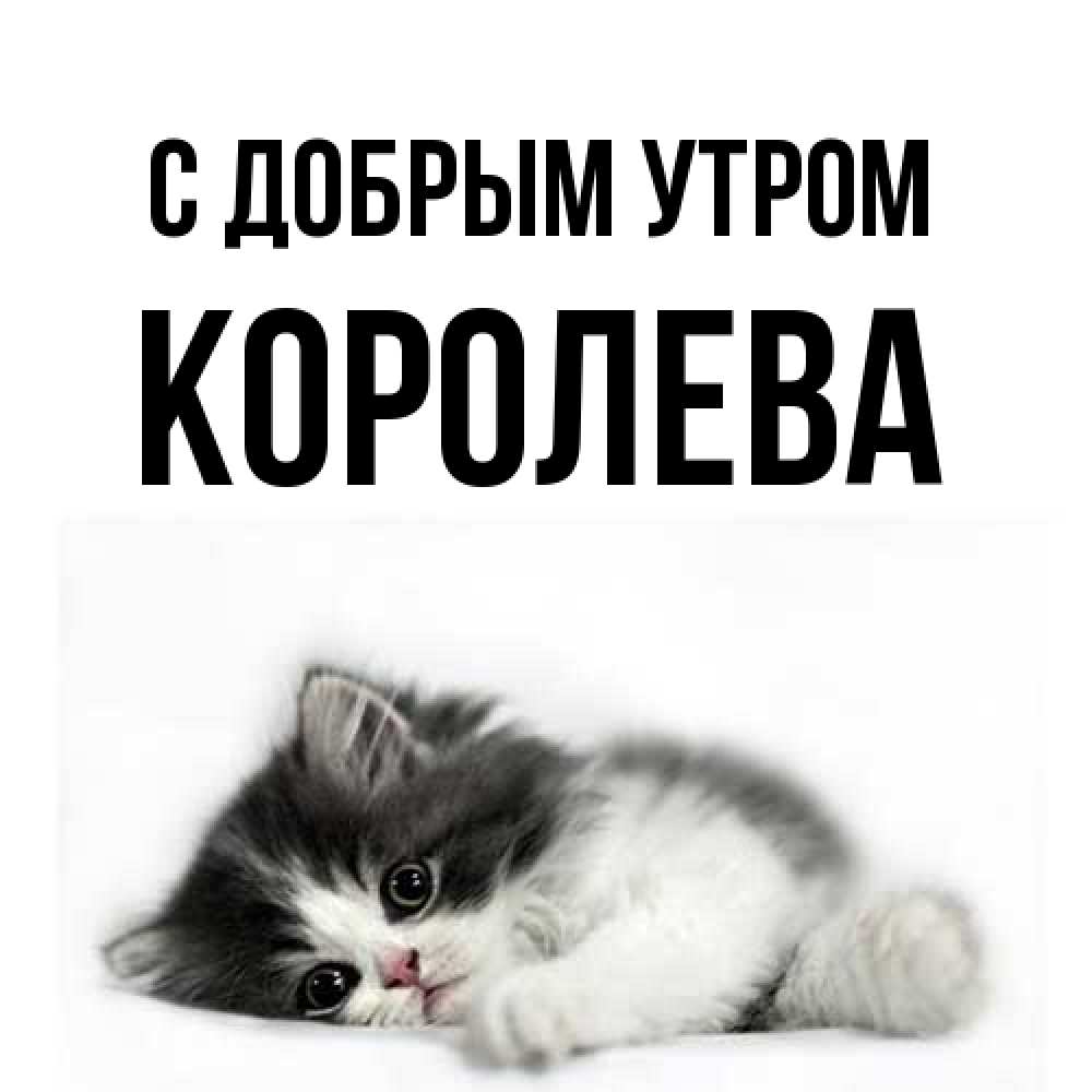 Открытка  с именем. Королева, С добрым утром  