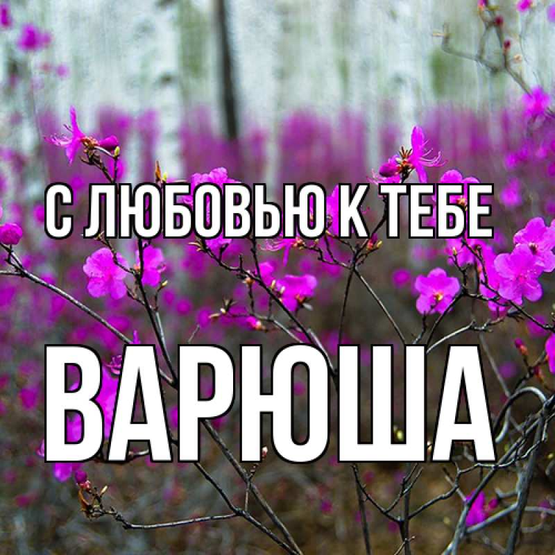Картинка С любовью к тебе, Варюша