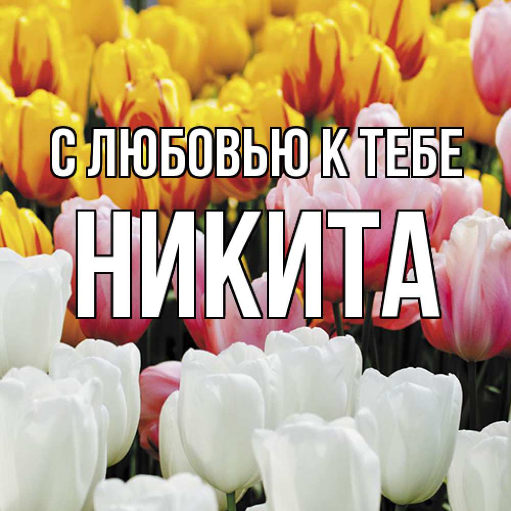 Открытка  с именем. Никита, С любовью к тебе  