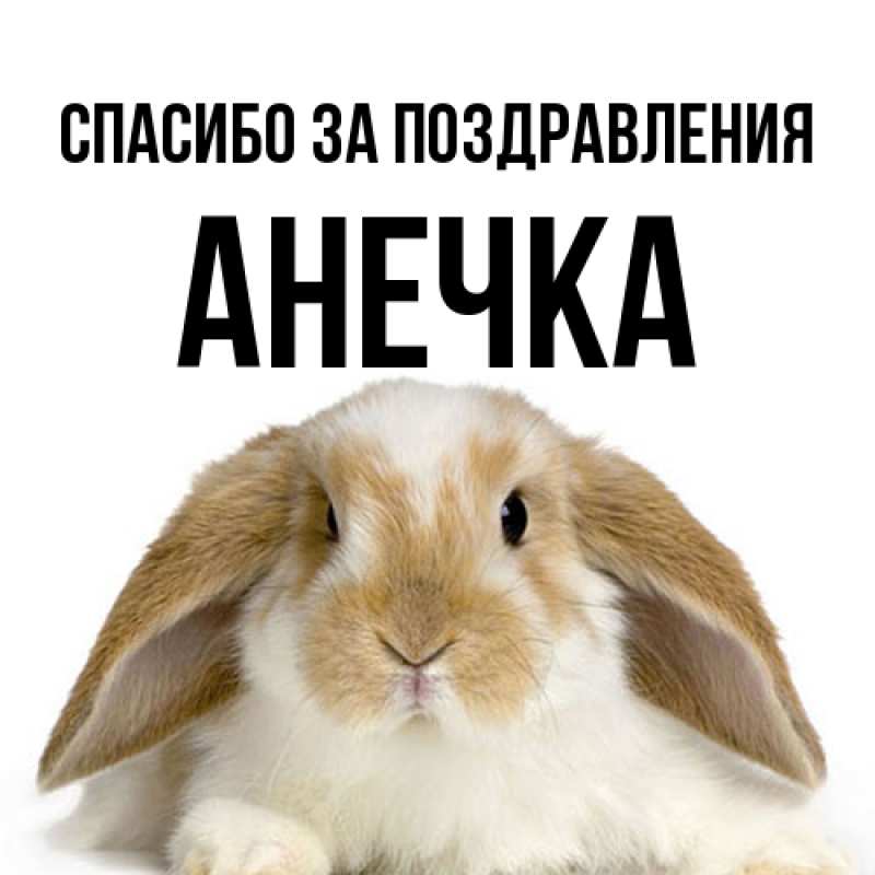 Картинка Спасибо за поздравления, анечка