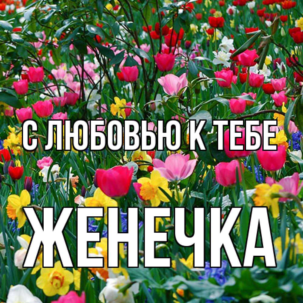 Открытка  с именем. Женечка, С любовью к тебе  