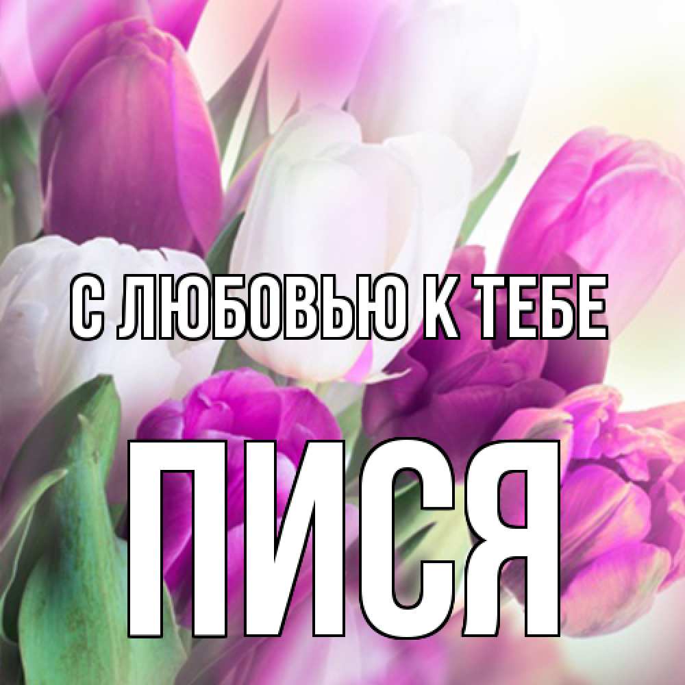 Открытка  с именем. пися, С любовью к тебе  