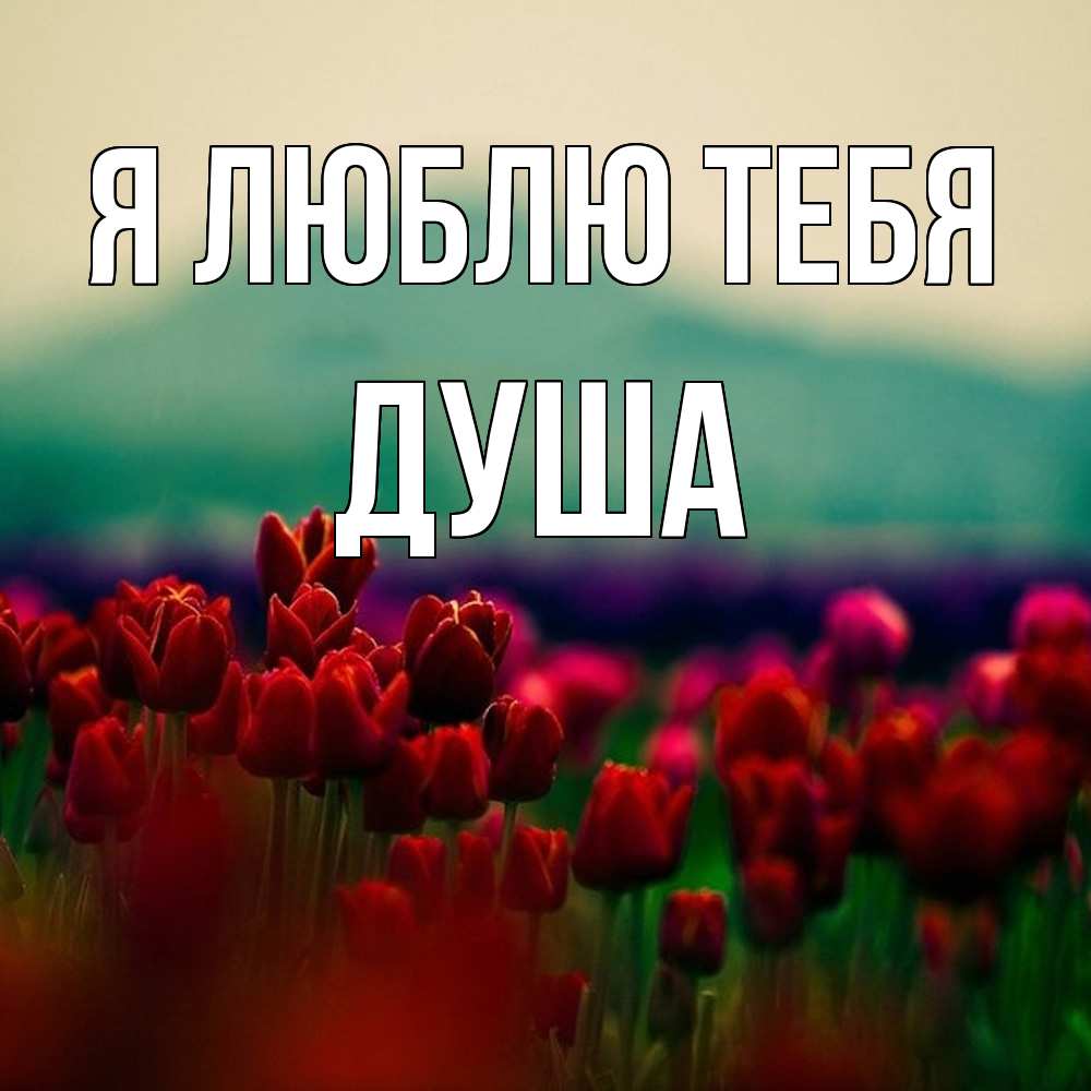 Открытка  с именем. Душа, Я люблю тебя  
