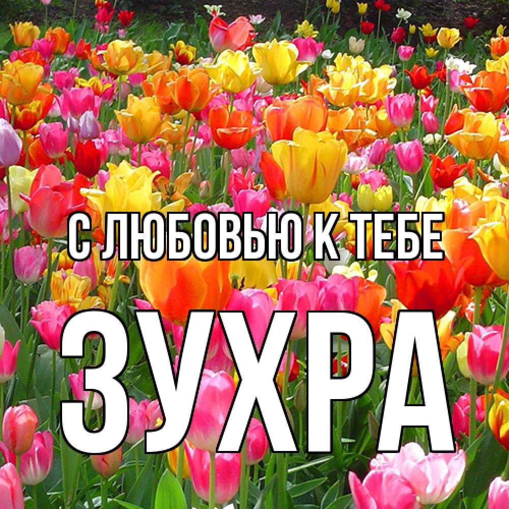 Открытка  с именем. Зухра, С любовью к тебе  