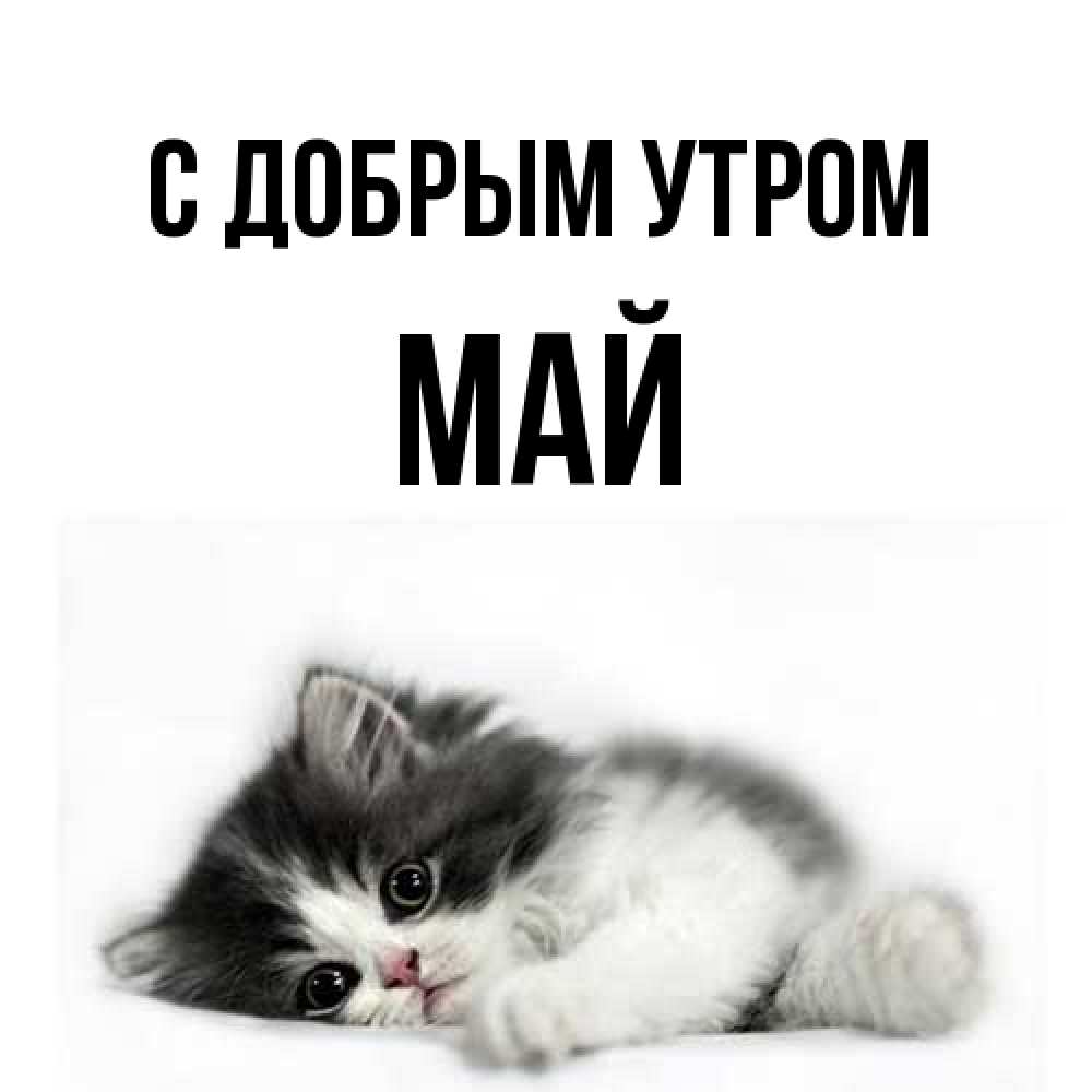 Открытка  с именем. Май, С добрым утром  
