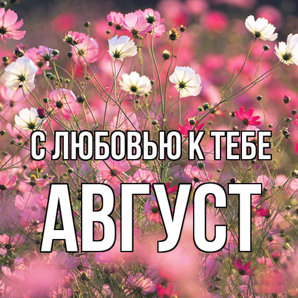 Открытка  с именем. Август, С любовью к тебе  