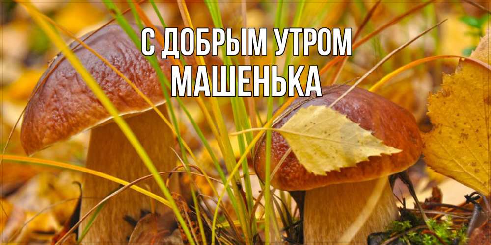 Открытка  с именем. Машенька, С добрым утром  