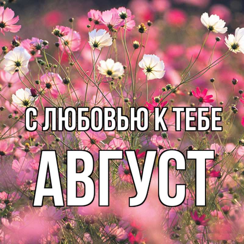 Картинка С любовью к тебе, Август